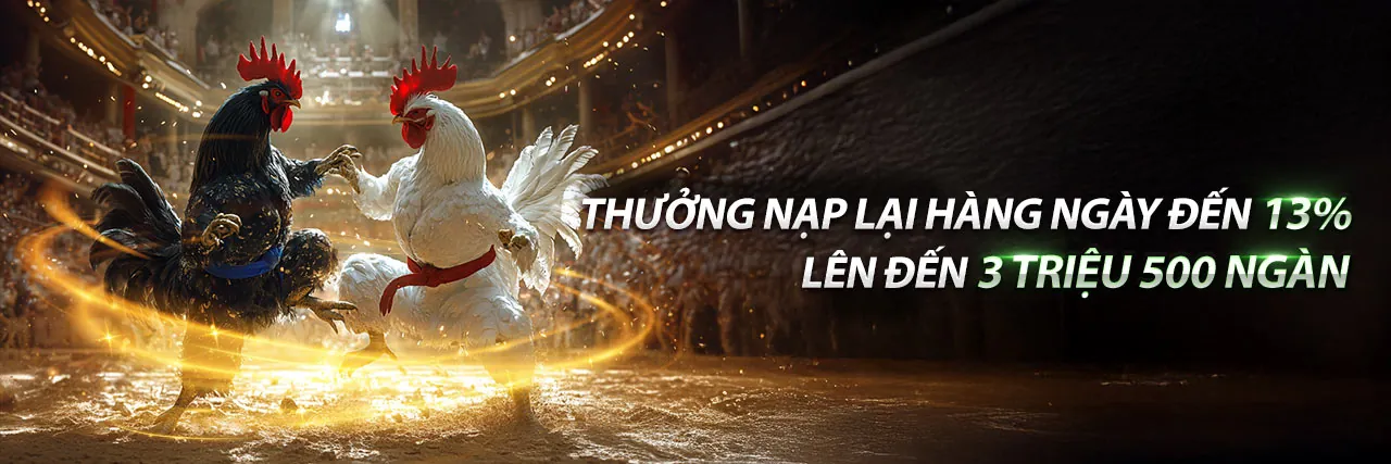Trường gà C4 với khán đài sôi động